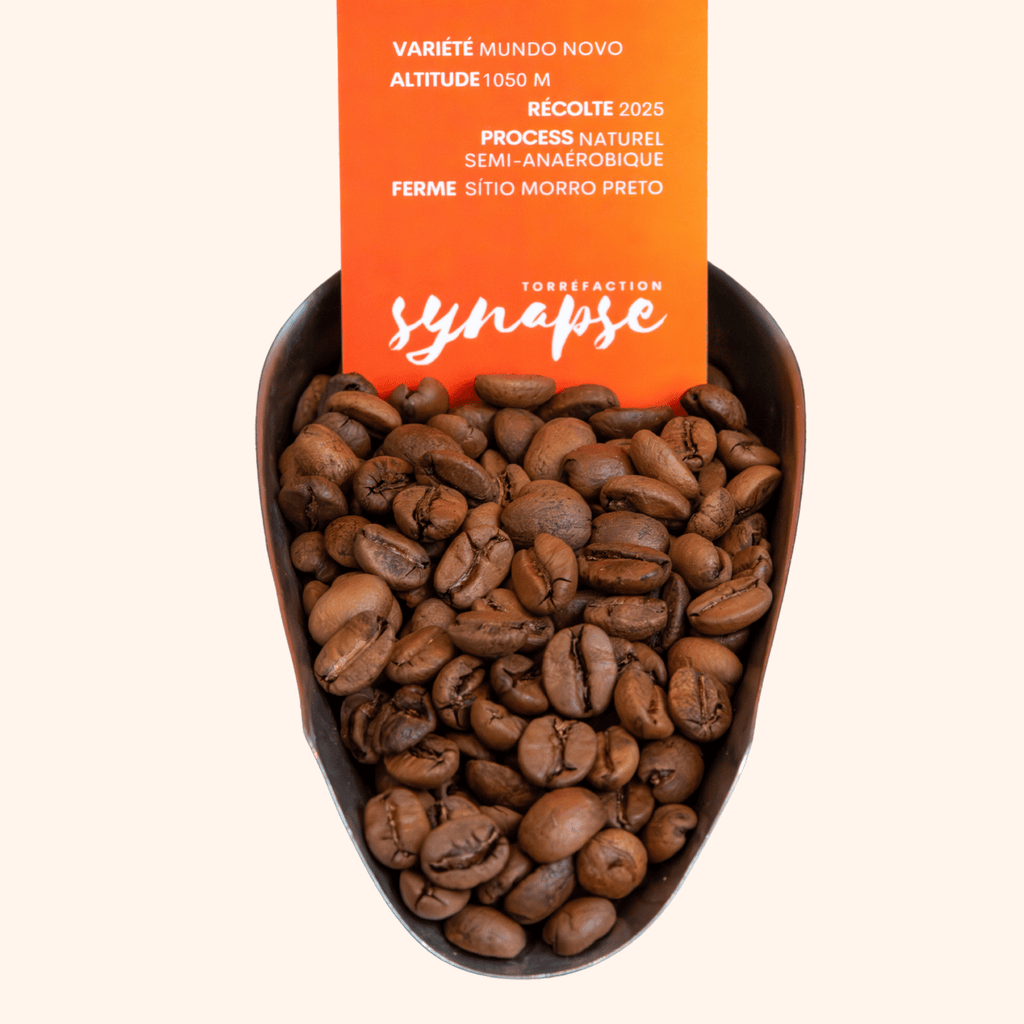 Café du Brésil Sítio Morro Preto grains torréfiés