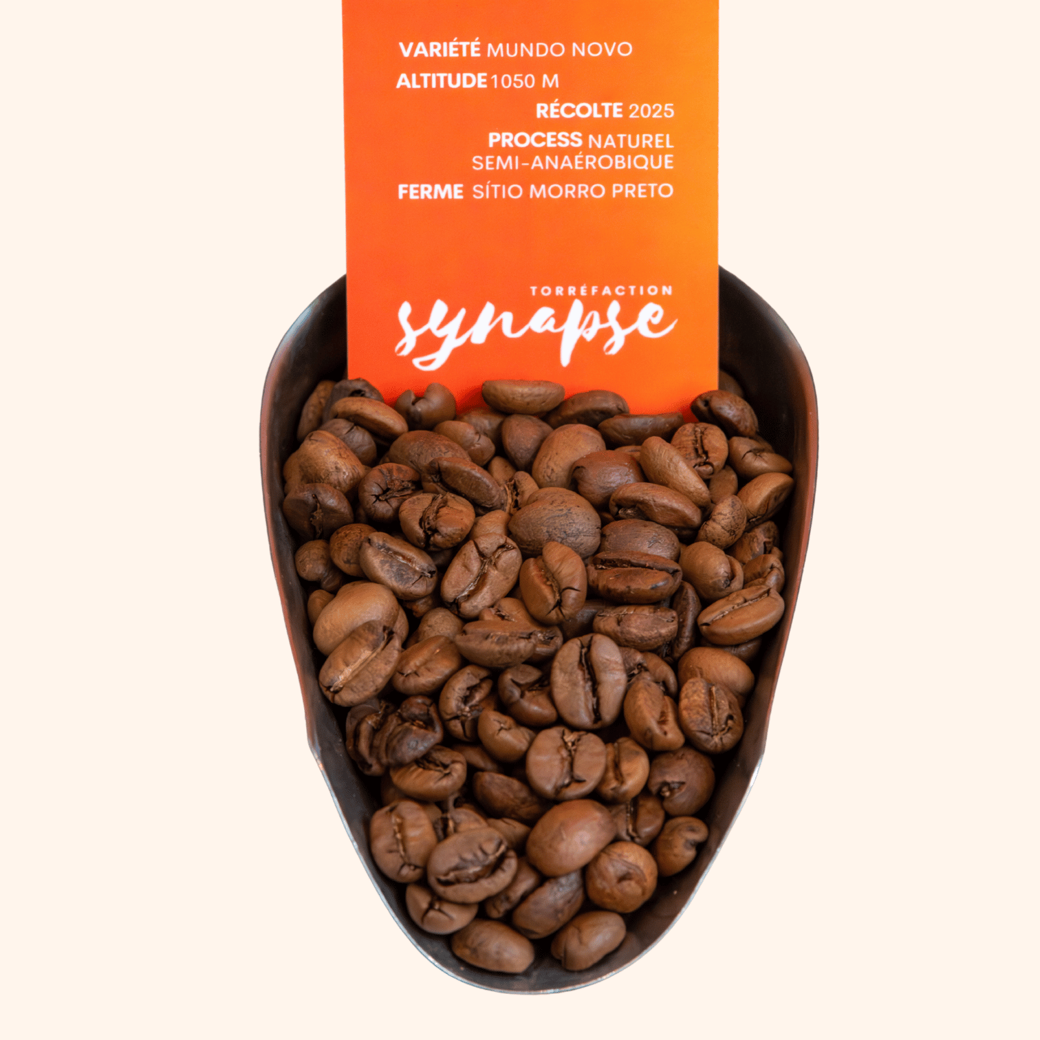 Café du Brésil Sítio Morro Preto grains torréfiés
