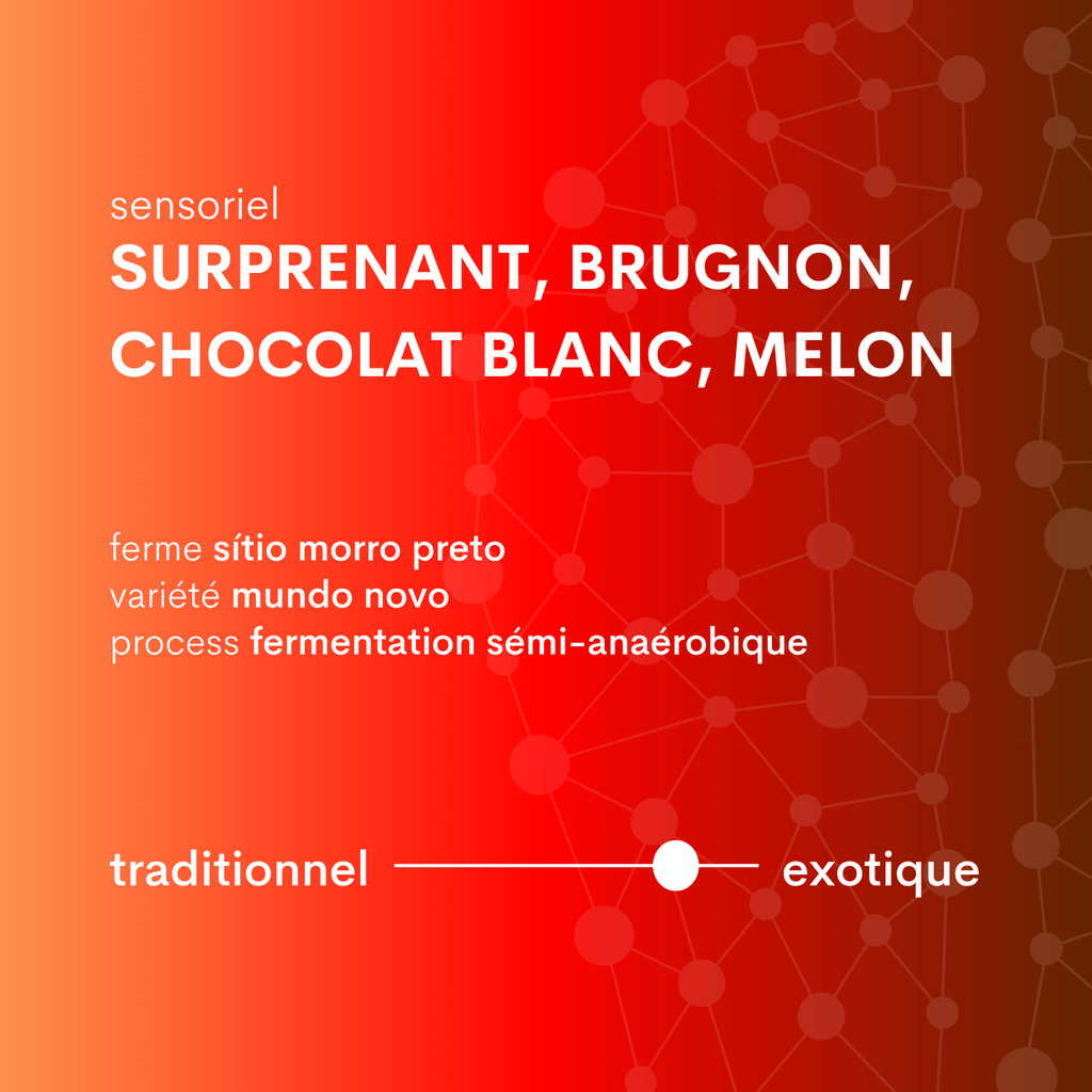 Descriptif café du brésil sítio morro preto