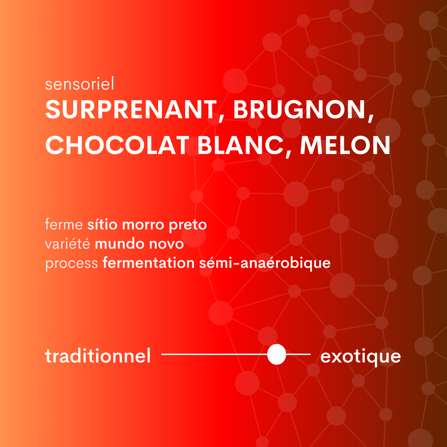 Descriptif café du brésil sítio morro preto