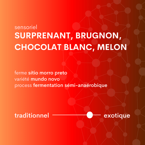 Descriptif café du brésil sítio morro preto
