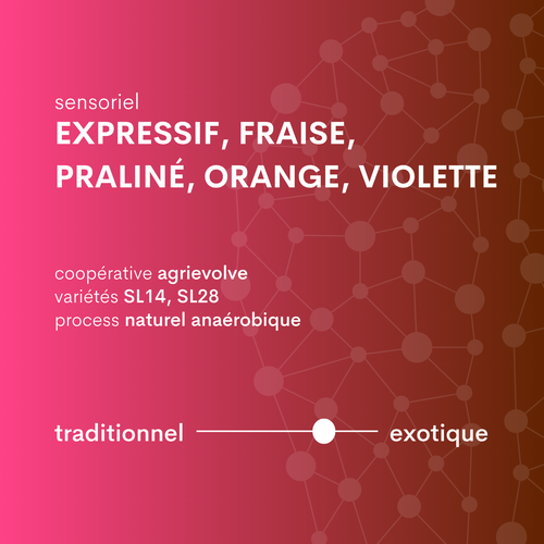 descriptif café d'Ouganda