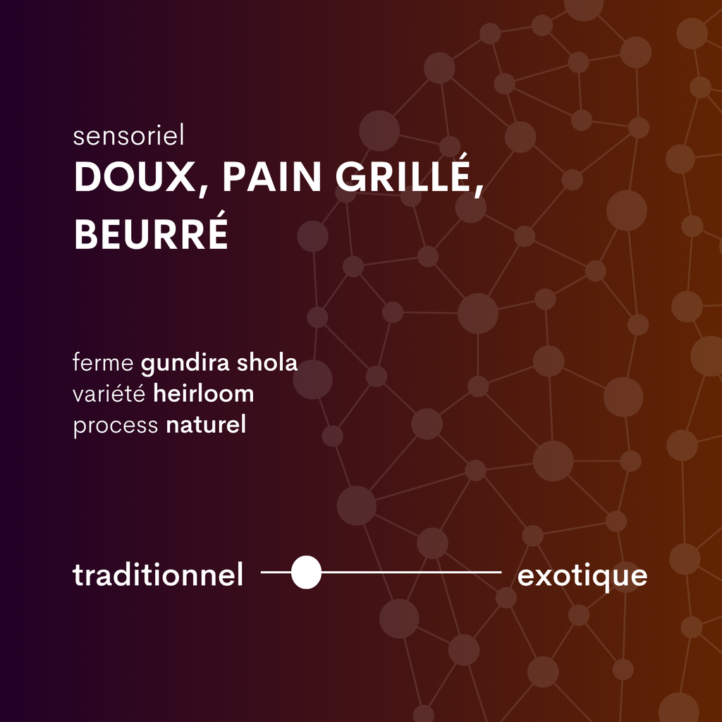 profilcafé d'éthiopie kaffa