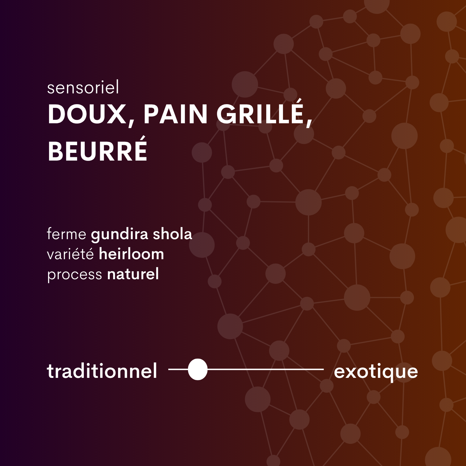 profilcafé d'éthiopie kaffa