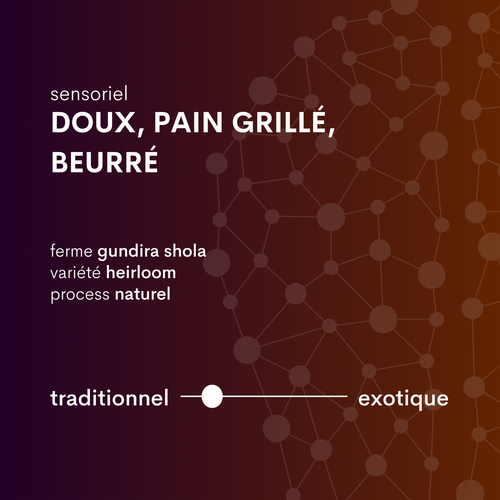 profilcafé d'éthiopie kaffa