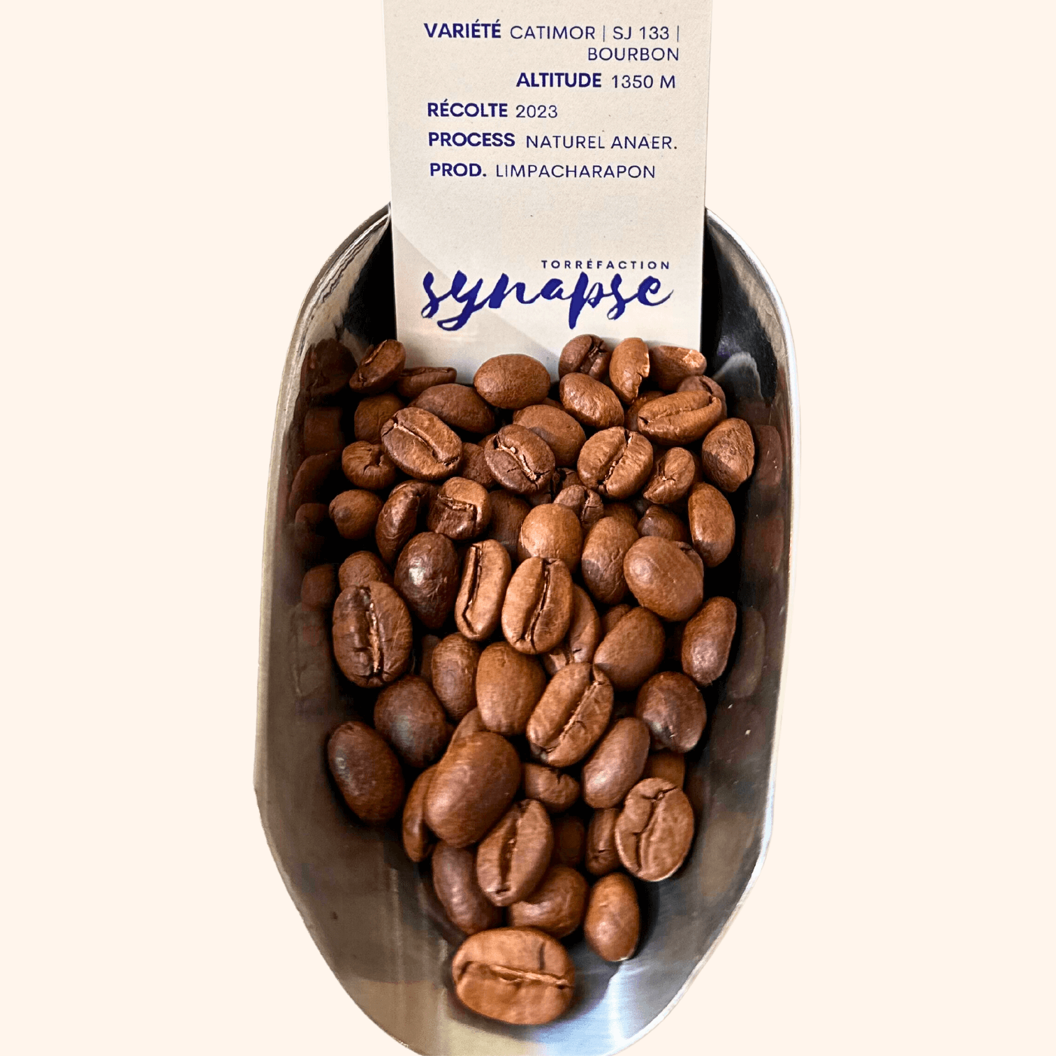 Grains du café de thaïlande torréfié et son étiquette informative