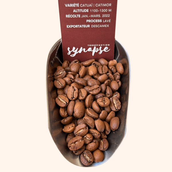 Grains du café du mexique torréfié et son étiquette informative
