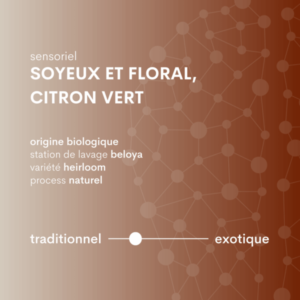 descriptif café d'éthiopie