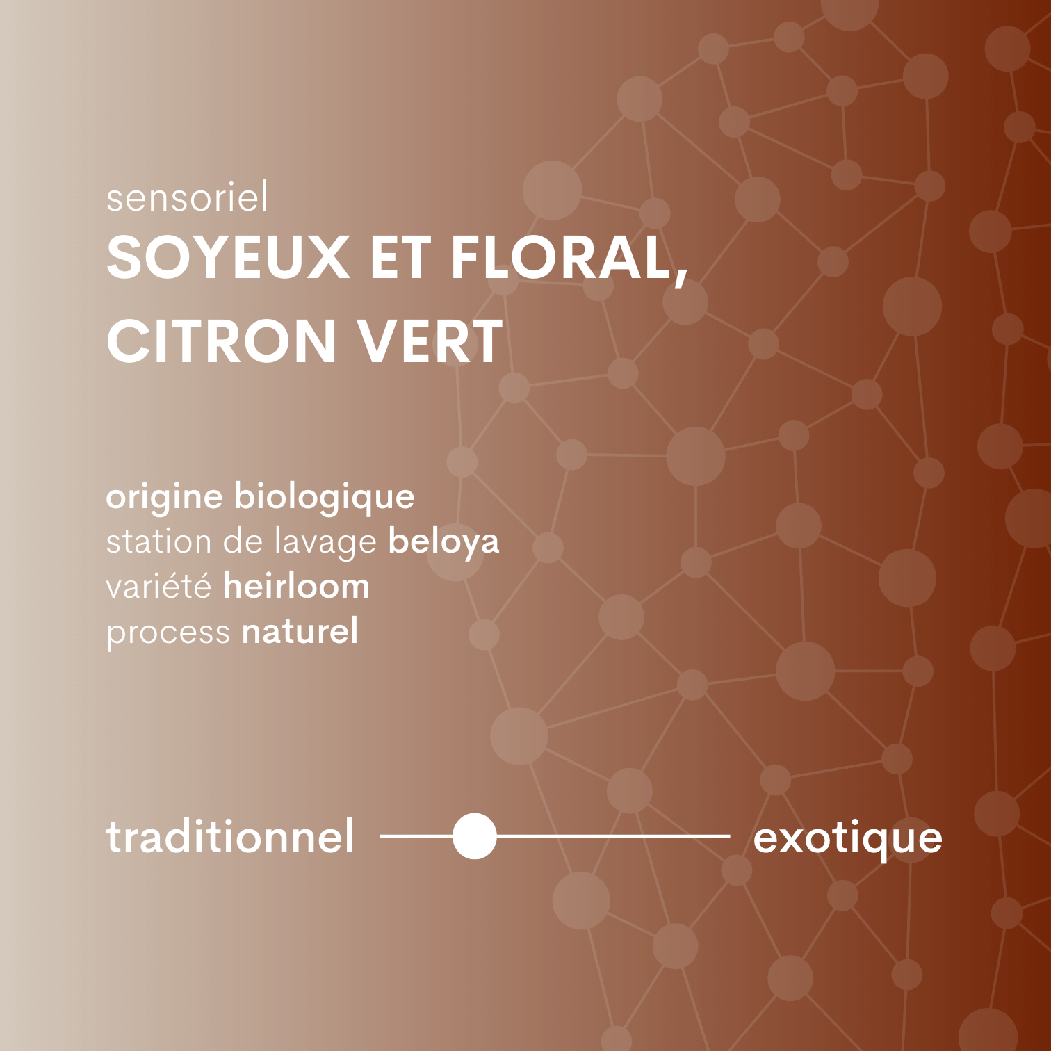 descriptif café d'éthiopie