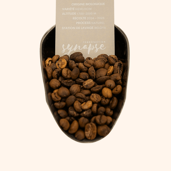 Grains du café d'éthiopie torréfié et son étiquette informative